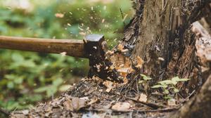 Michael Foster on the Crisis of Masculinity and Missions
