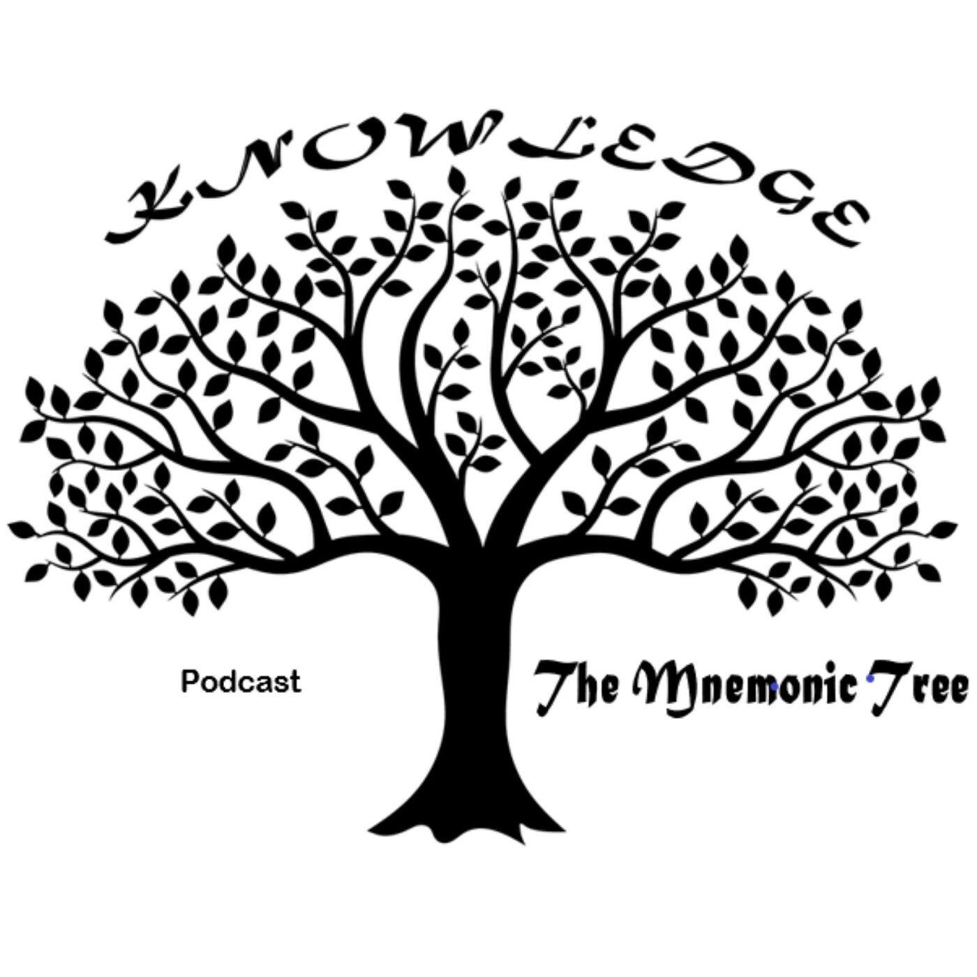 Newton's Three Laws of Motion - The Mnemonic Tree Podcast | Listen Notes