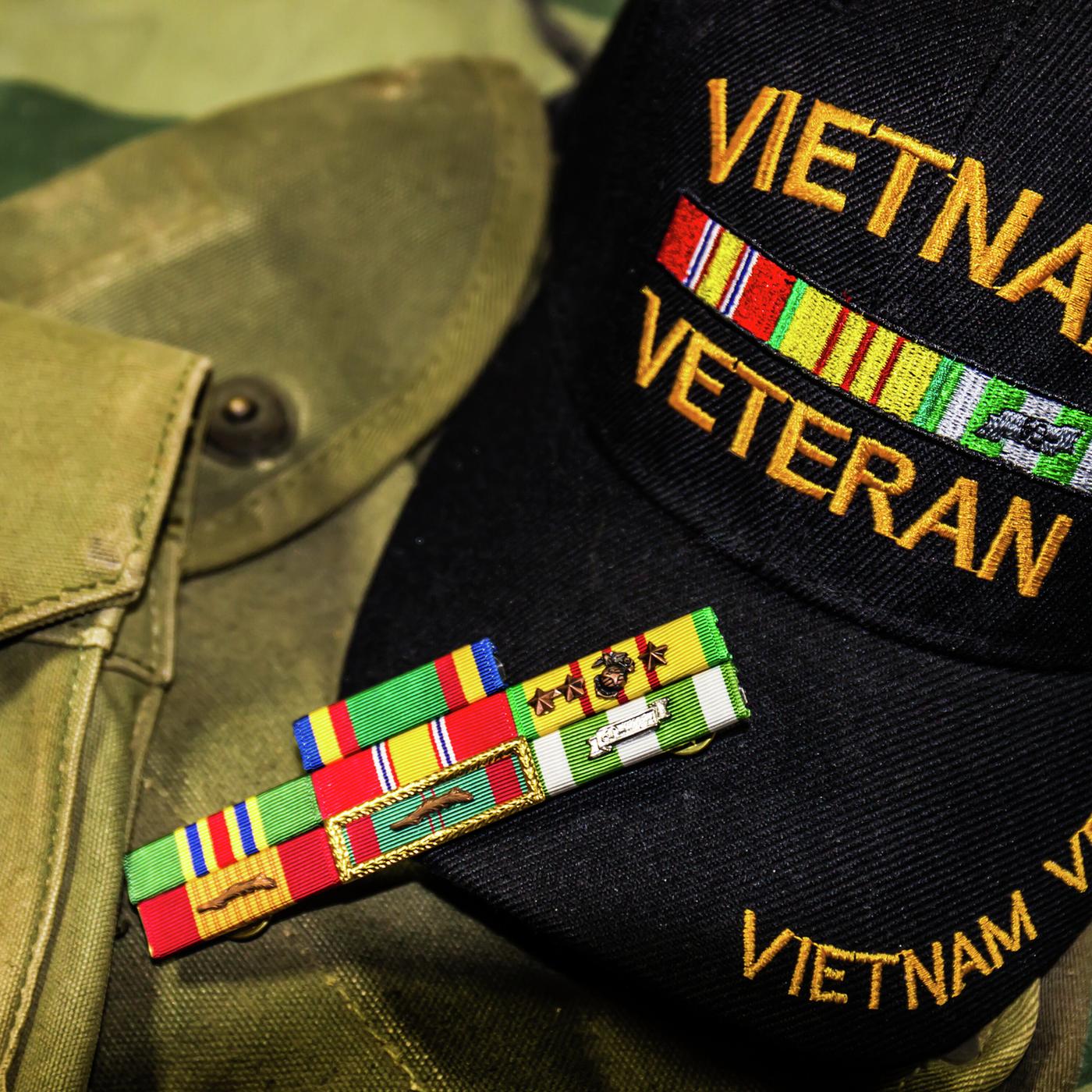 Commemorating Vietnam War Veterans and the 50th Anniversary | Listen Notes