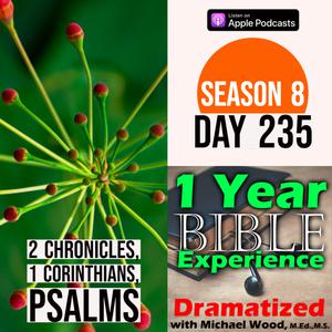 Audio Bible Day 235 | Jehoshaphat goes home from the war and builds up Judah | 1 Corinthians 15: New bodies after death
