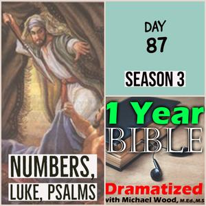Day 87 | Israelites worship Baal, then 24,000 of them die | Phinehas kills 2 sinners with 1 spear | Jesus raises a boy from death