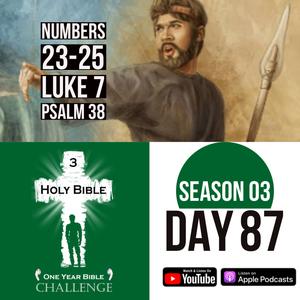 Day 87 | Phinehas kills 2 sinners with 1 spear | Jesus raises a boy from death