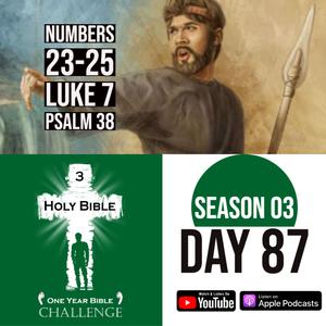 Day 87 | Phinehas kills 2 sinners with 1 spear | Jesus raises a boy from death