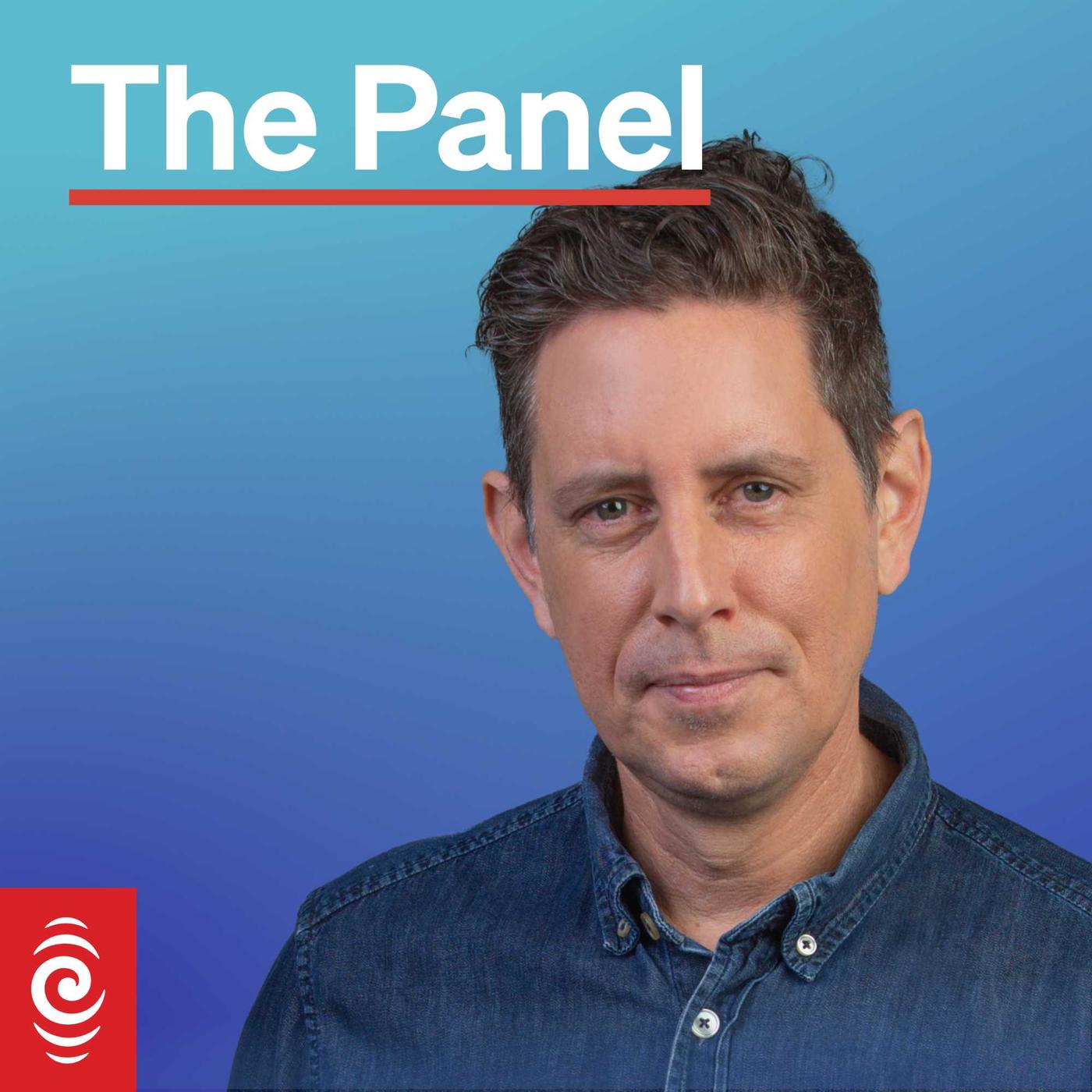 The Pre Panel with Sue Bradford and Peter Dunne The Panel (podcast