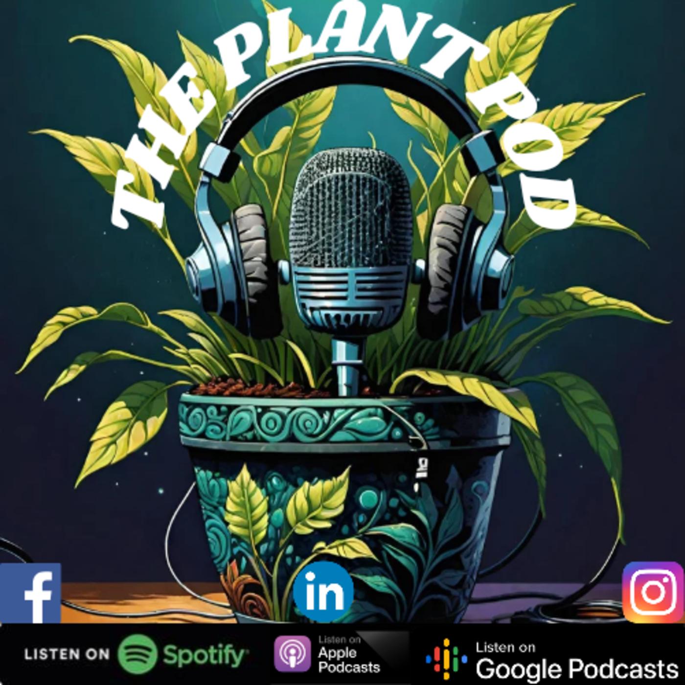 Emma O'Neill (Garden Organic) - The Plant Pod (podcast) | Listen Notes