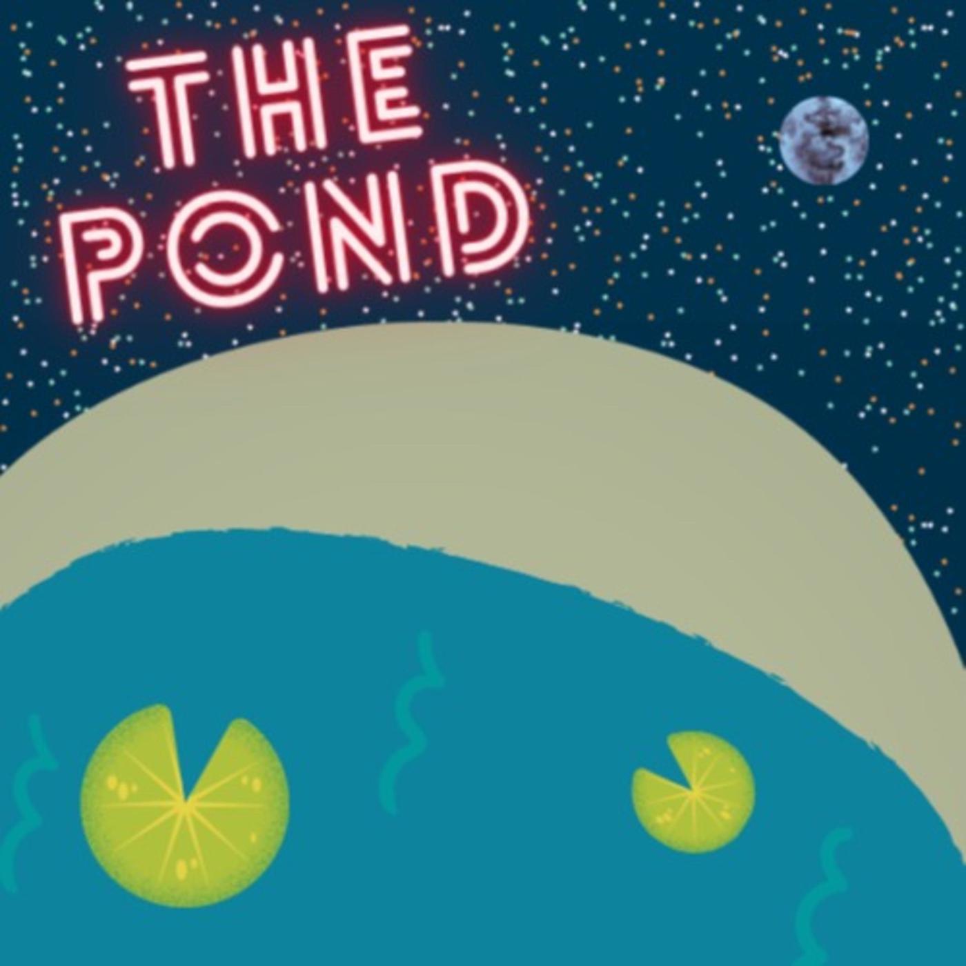 The Pond