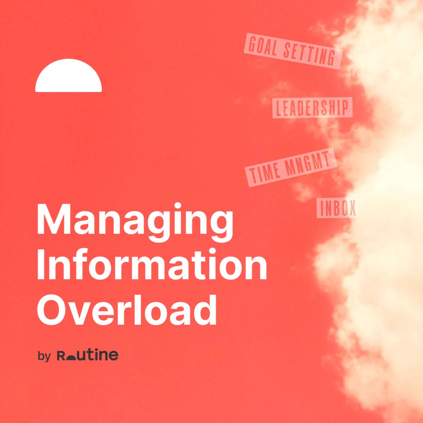 Picture of The ultimate guide to managing information overload