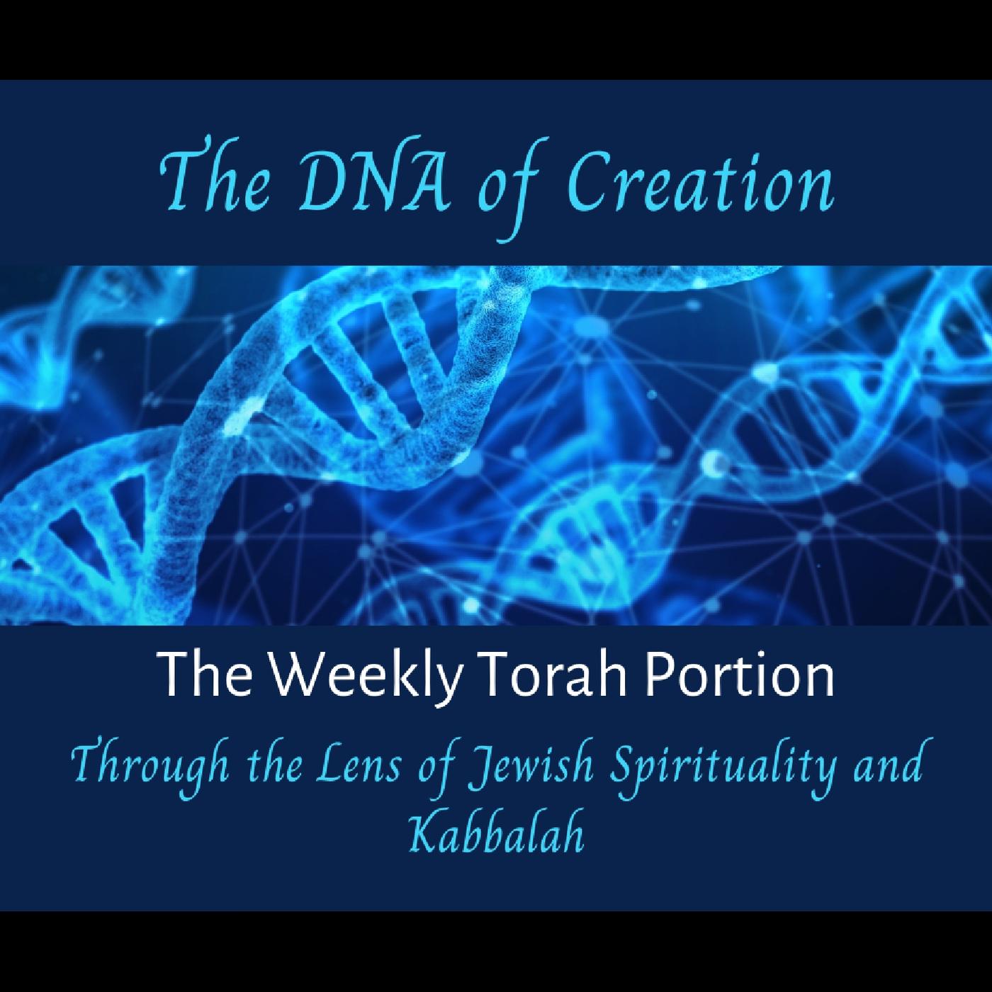 The DNA of Creation - Vayikra - The Passover Lamb, Sacrifices, and the ...