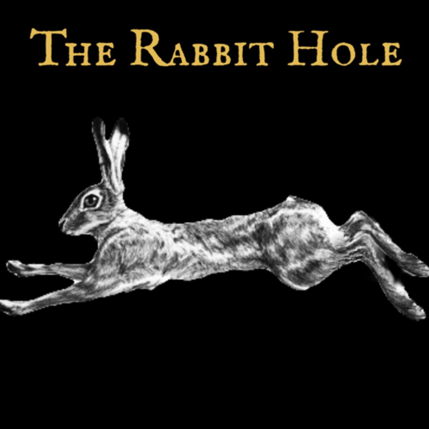 Rabbit s hole