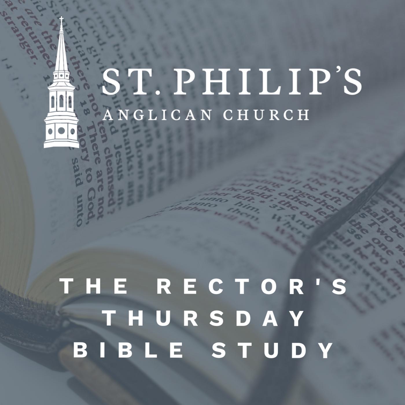 Noah Rector Genesis | Ep 22 | The Fall of Noah - The Rector's Bible Study (podcast ...