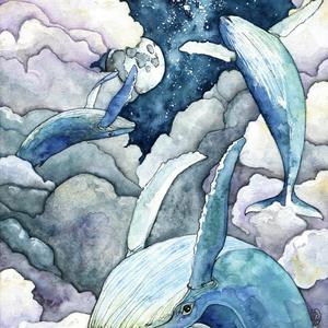 The Whale's Song