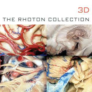 The Rhoton Collection – 3D Presentations (podcast) - iTunes U Podcast Owner  | Listen Notes