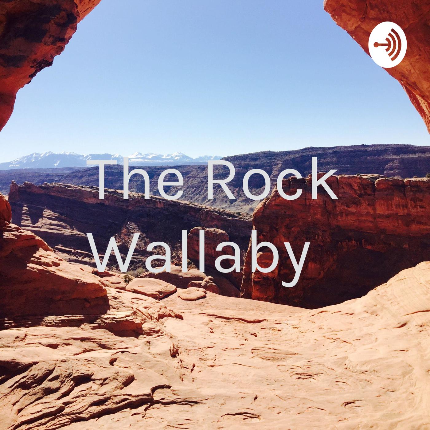 The Rock Wallaby 