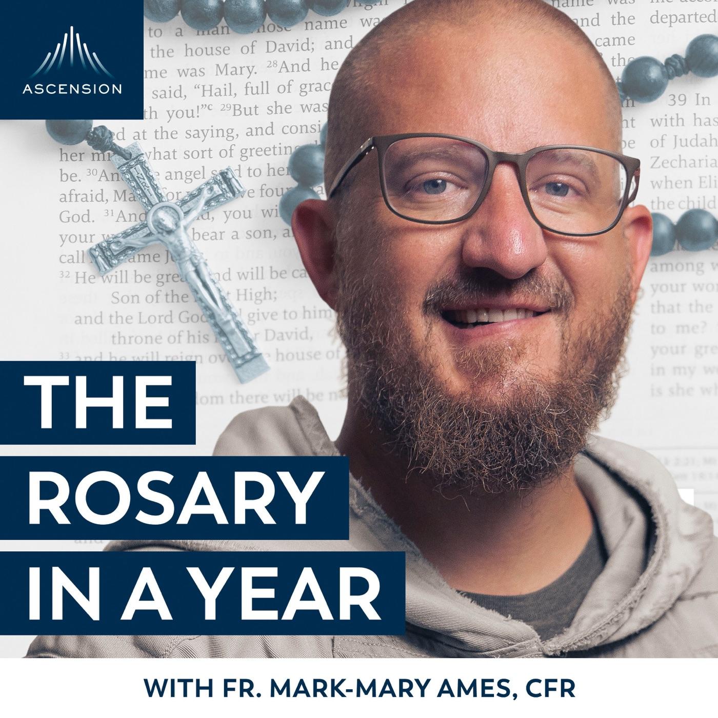 Day 88 The Road Of Humility The Rosary In A Year with Fr Mark Mary day-88-the-road-of-humility-the-rosary-in-a-year-with-fr-mark-mary