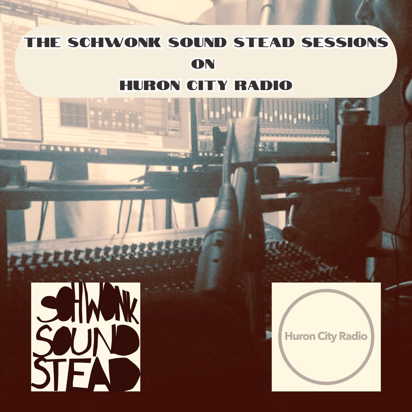 The Schwonk Sound Stead Sessions on Huron City Radio