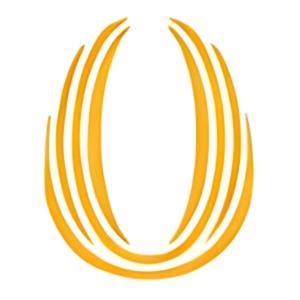 CEO Dusty Holcomb — Leading with Courage, Mentorship, and Purpose
