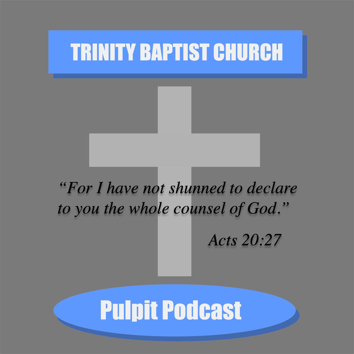 Christs High Priestly Prayer The Trinity Pulpit Podcast Listen Notes 6148