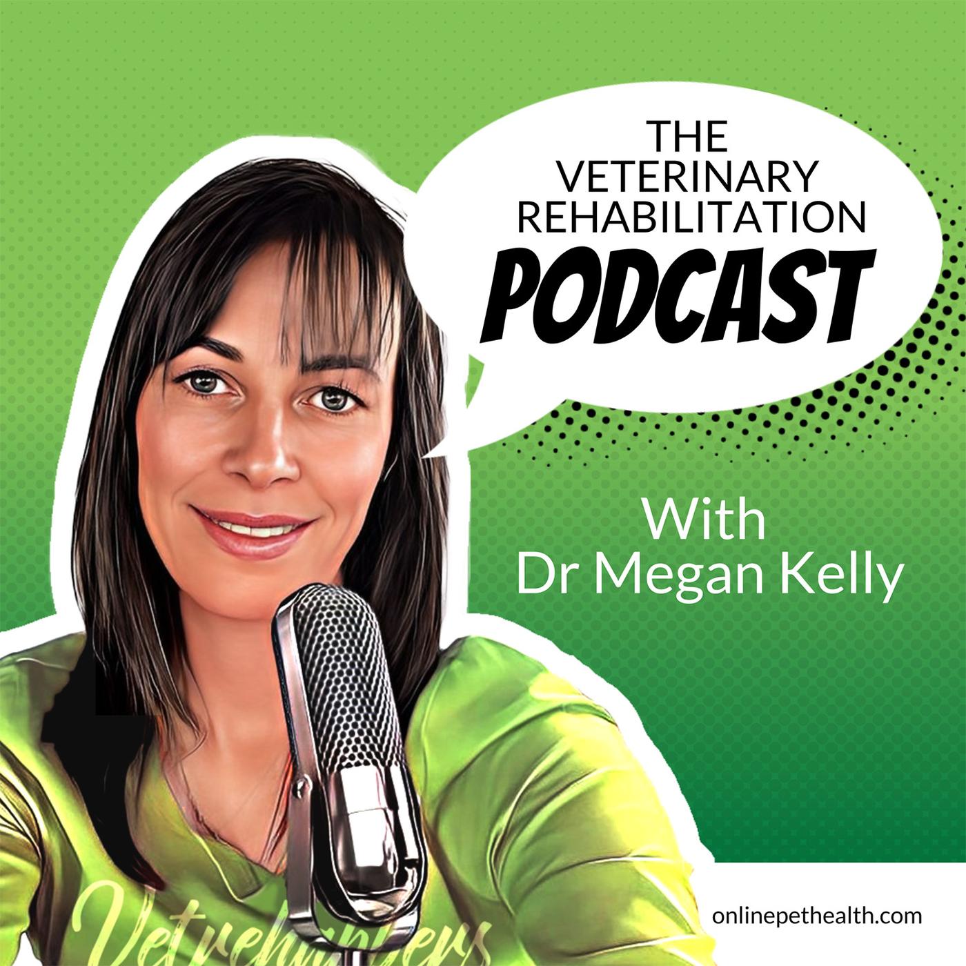 The Veterinary Rehabilitation Podcast