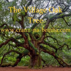 The Village Oak Tree for August 30th, 2023