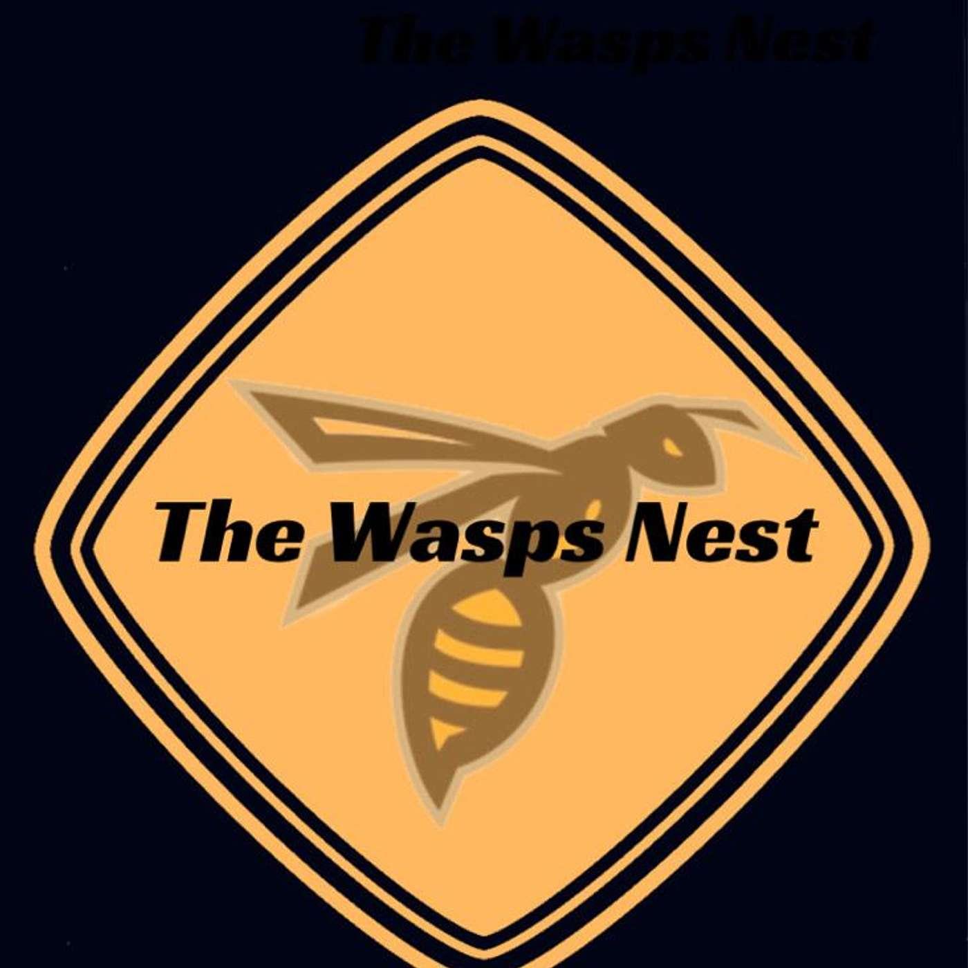 Episode 89 - Squad Update - The Wasps Nest Podcast | Listen Notes