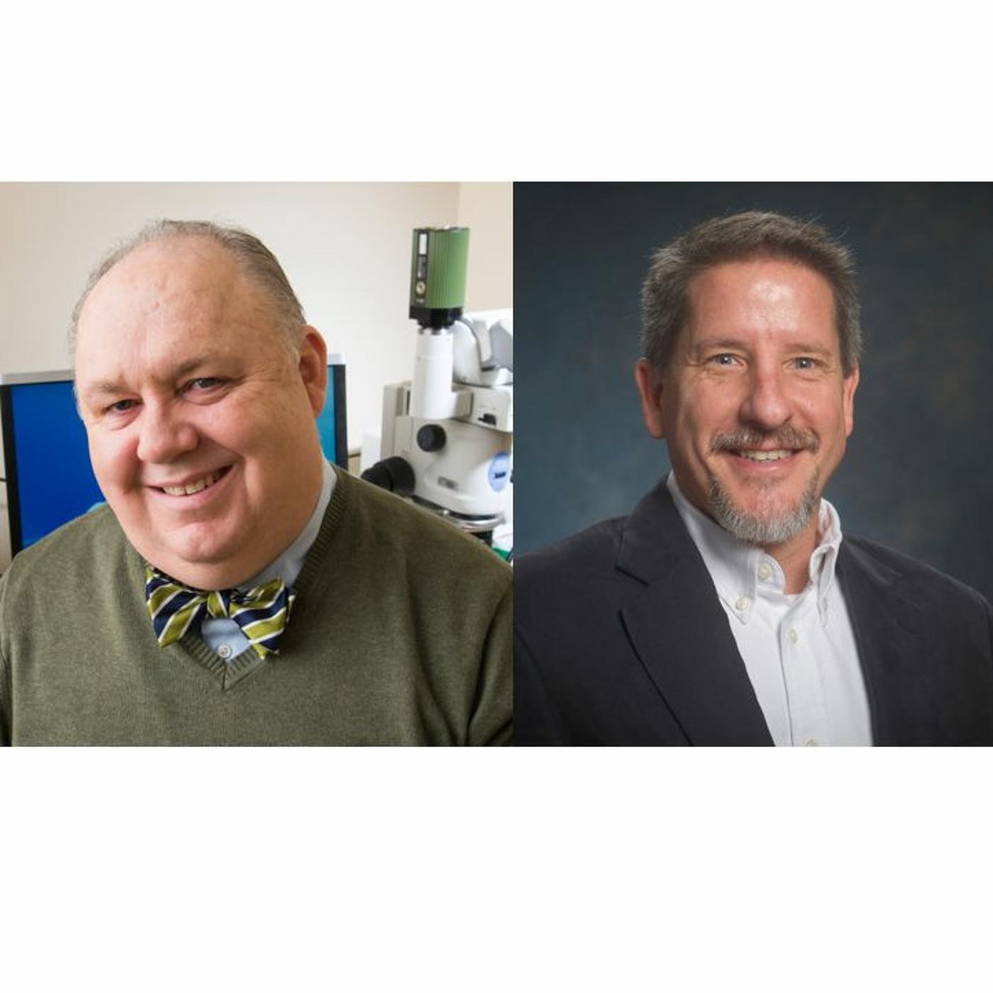 The Hallmarks Of Metastasis - TheoryLab (podcast) | Listen Notes