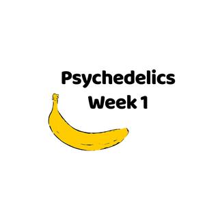 Psychedelics Week 1