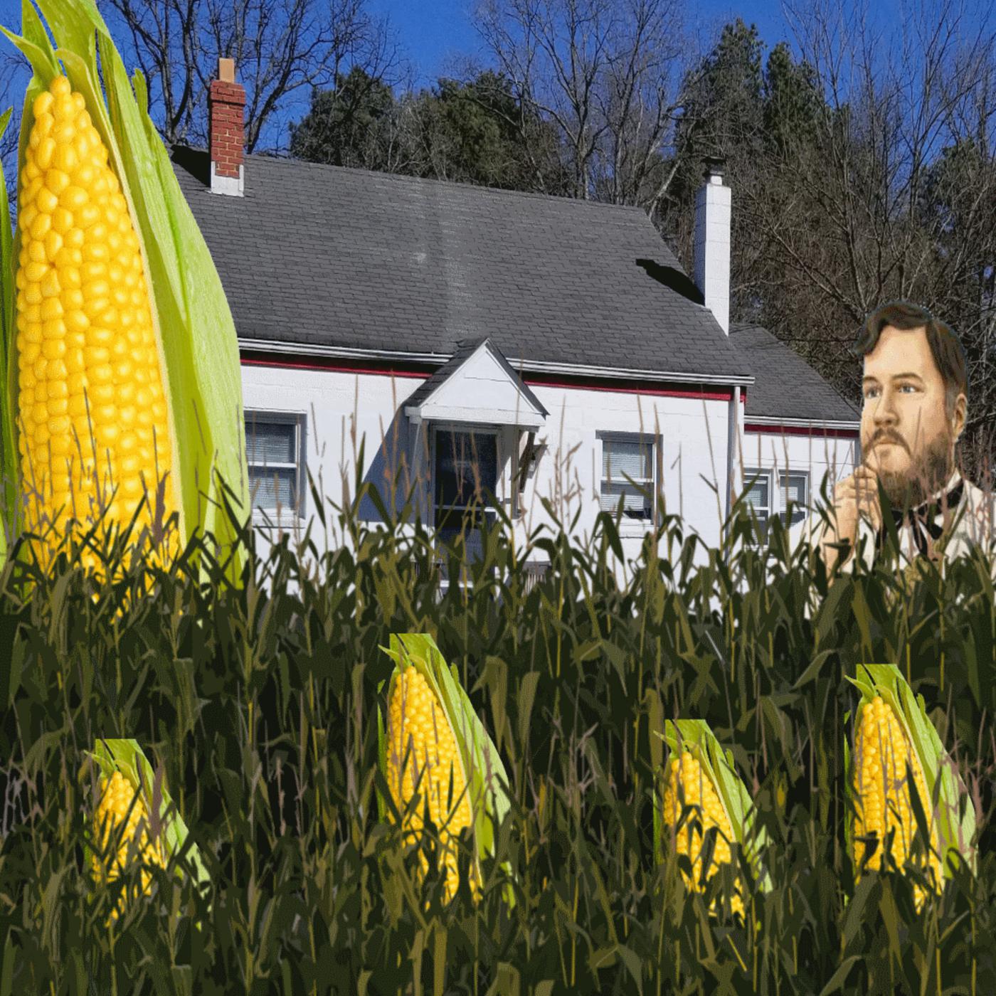 The Corn Harvest: The Mundane Matt Boulderversary Stream | Listen Notes