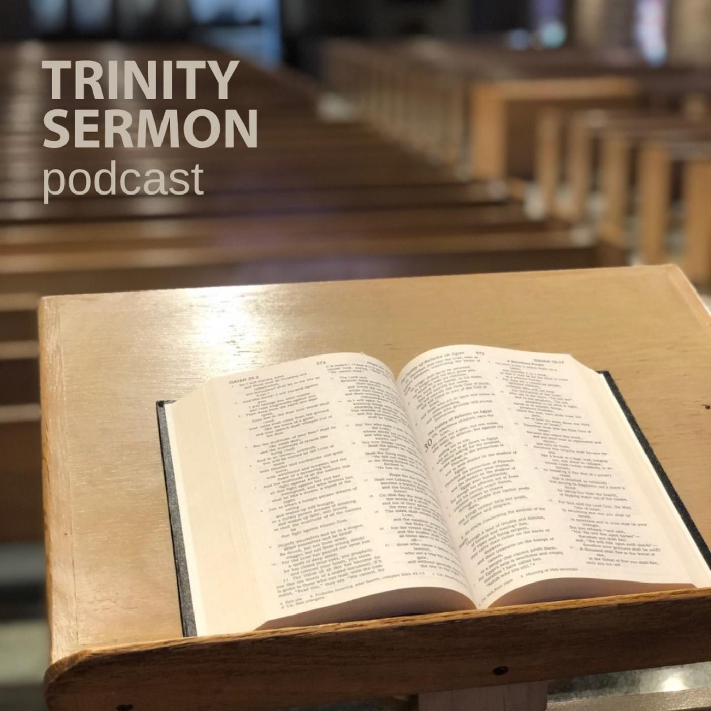 The Slow Work of God (Pastor Chris Meester) - Trinity Sermon Podcast ...