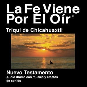 Triqui Chicahuaxtla Biblia (dramatizada) - Triqui Chicahuaxtla Bible (Dramatized)