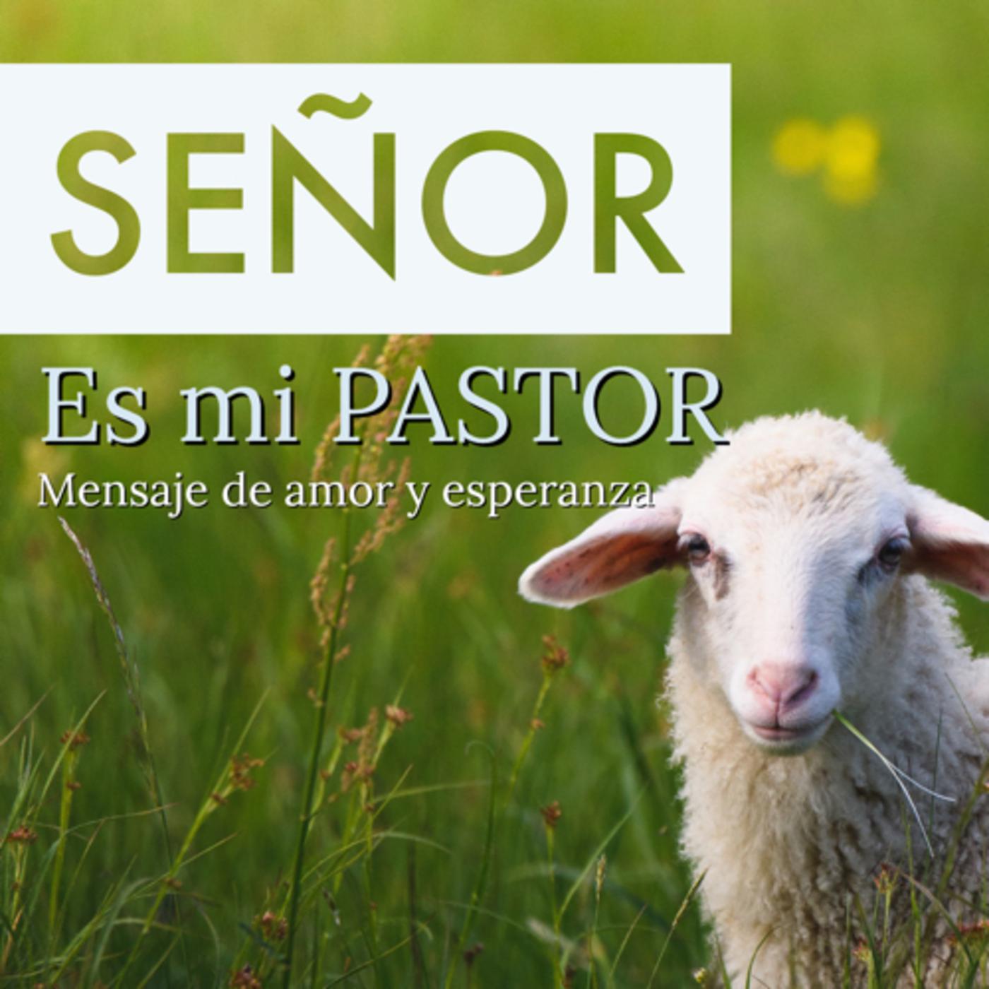 EL SEÑOR ES MI PASTOR TU PALABRA ES VERDAD pódcast Listen Notes