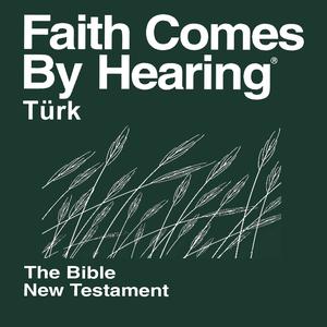 	Türkçe İncil Halk Dilinde 2012 (dramatize değil) - Turkish Bible (Non-Dramatized)