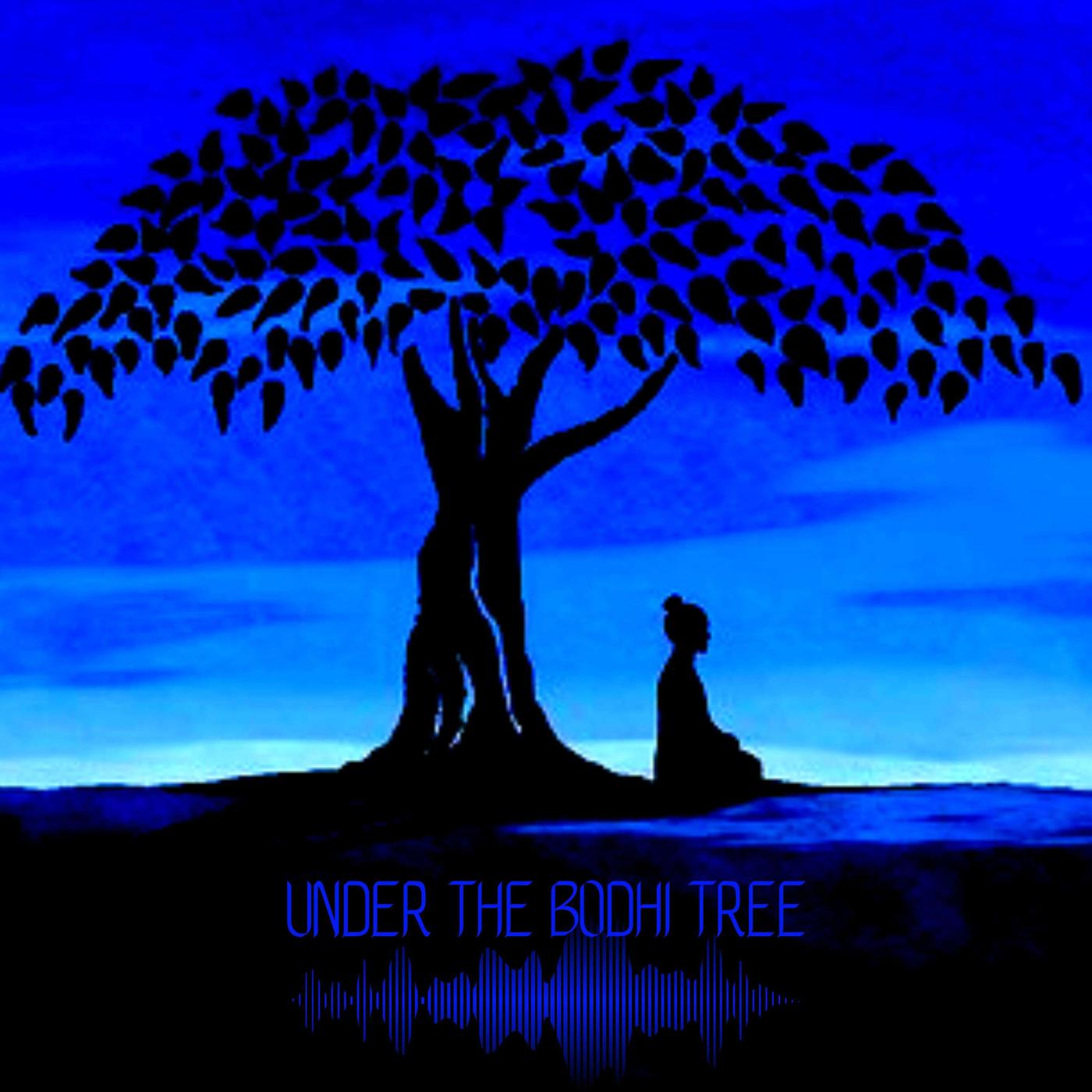 Under the Bodhi Tree podcast  Bodhi Samuel Listen Notes 