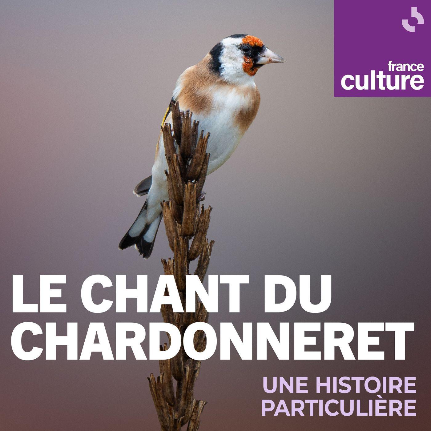 Le chant du chardonneret 2/2 : Symbolique et imaginaire | Listen Notes