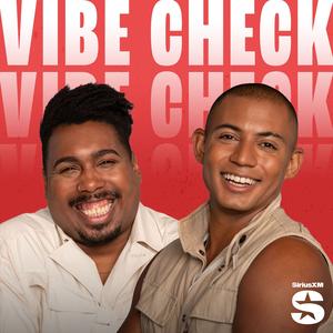 Vibe Check