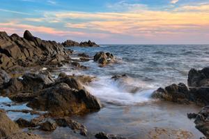 Environmentally friendly alternatives to conventional cremation and burial practices