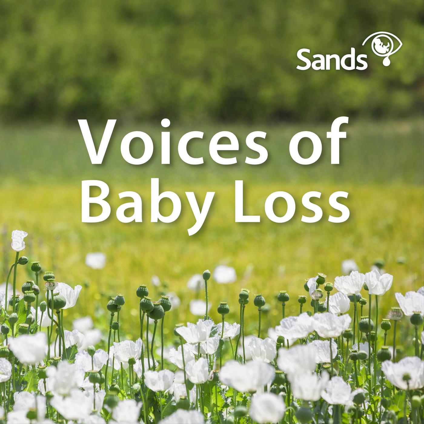 Voices of Baby Loss