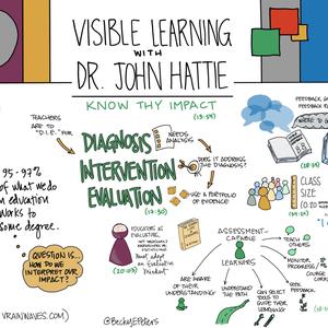 John Hattie on Visible Learning and Feedback