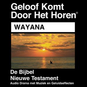 Wayana Bible - Wayana Bijbel
