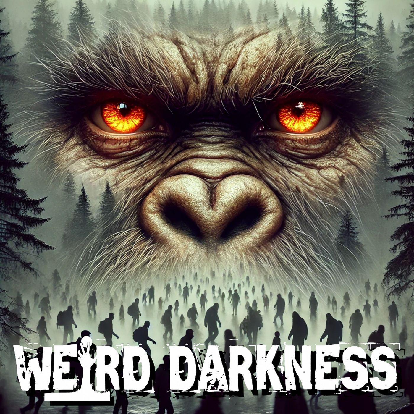 Weird Darkness: Paranormal & True Crime Stories