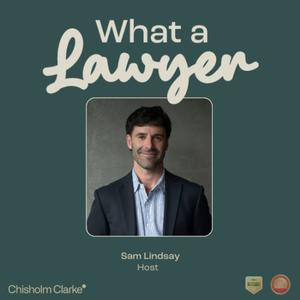 What a Lawyer