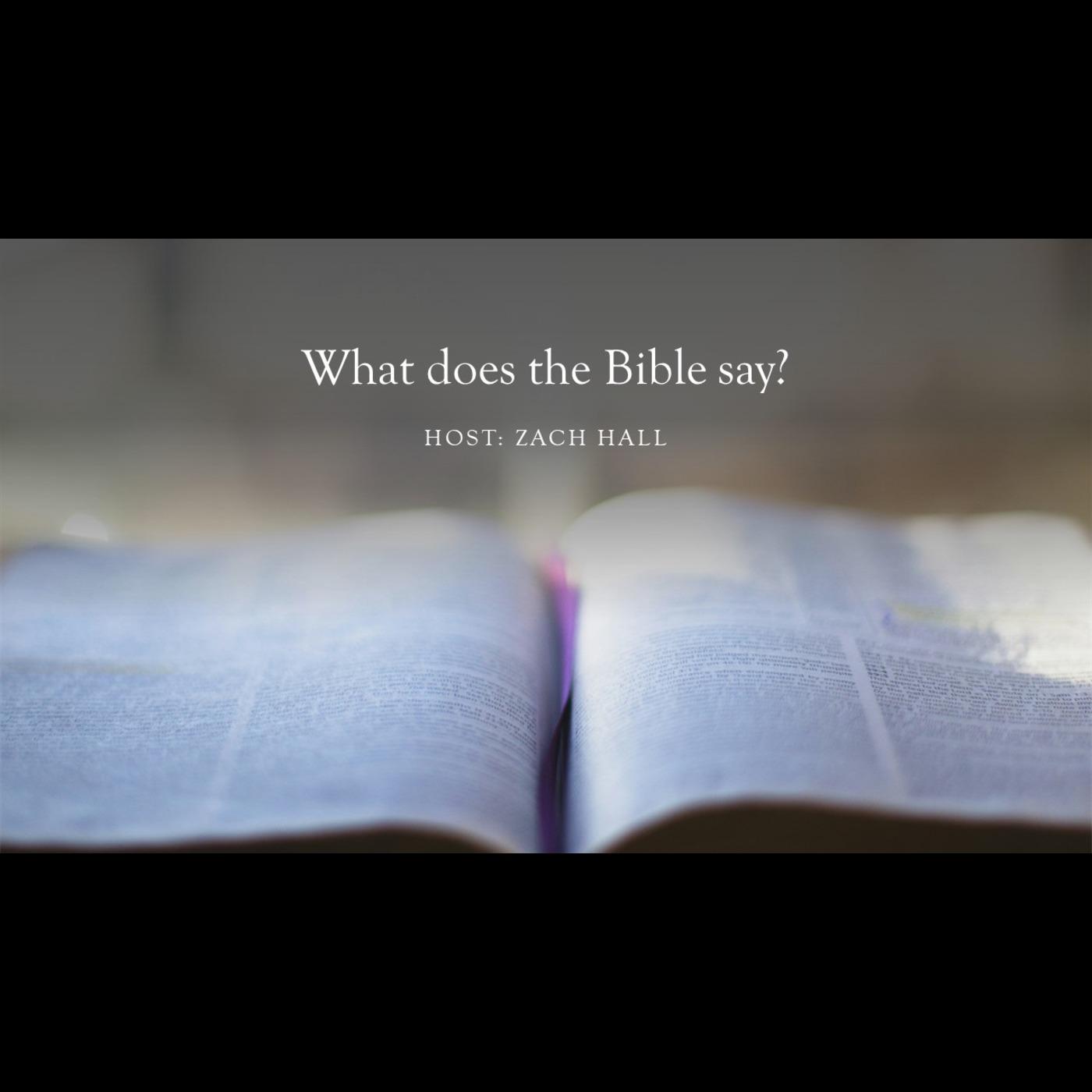 Ep6 - What Does The Bible Say About The Spiritual Blessing Of Adoption ...