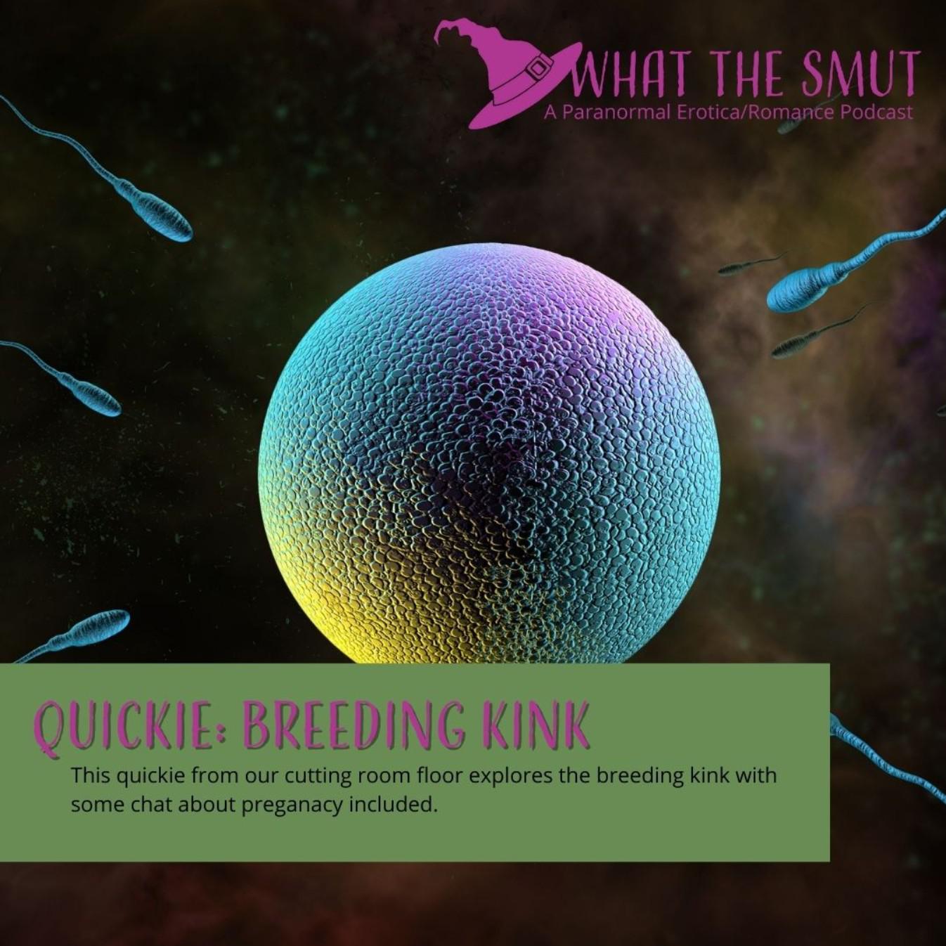 Quickie: Breeding Kink - WHAT THE SMUT (podcast) | Listen Notes