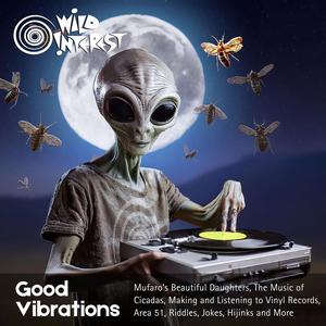 Good Vibrations
