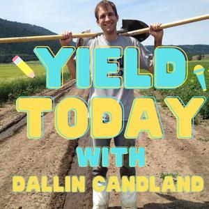 Taking Your Best Shot in Life and Business ft. Wade Galt - #71