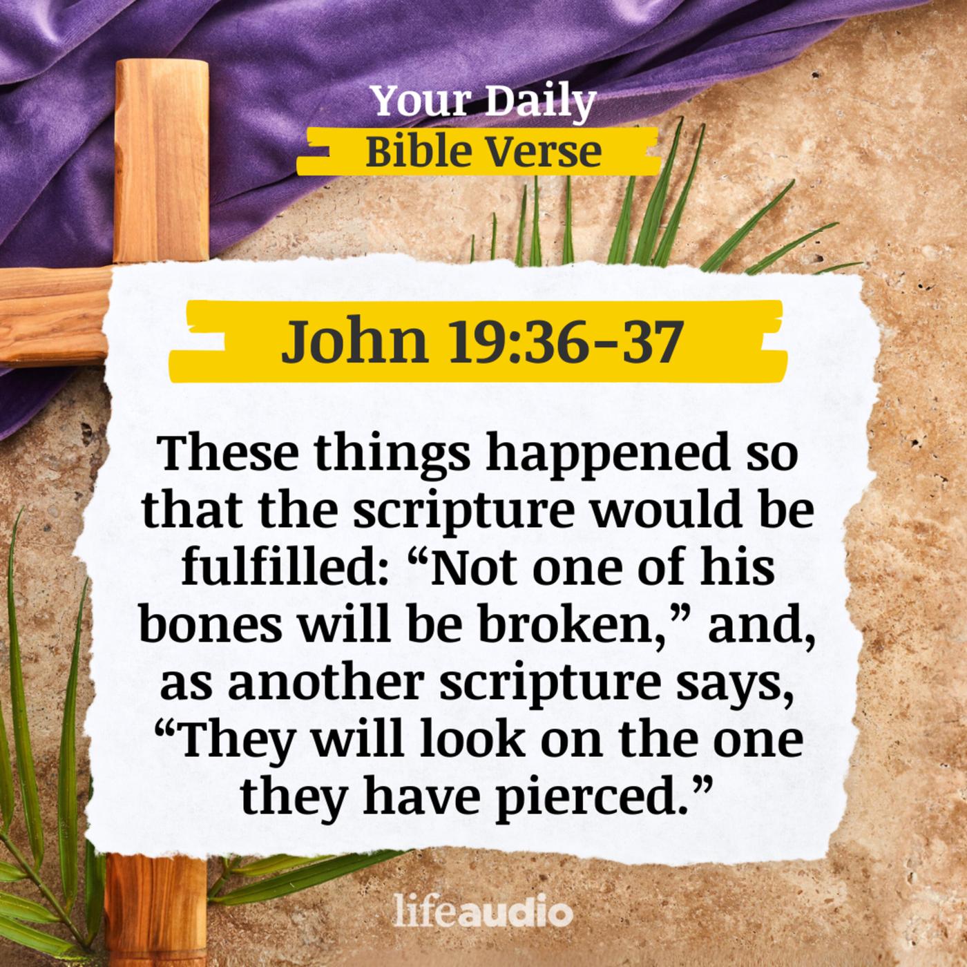 Lent - The Stabbing Pain Not Felt (John 19:36-37) - Your Daily Bible ...