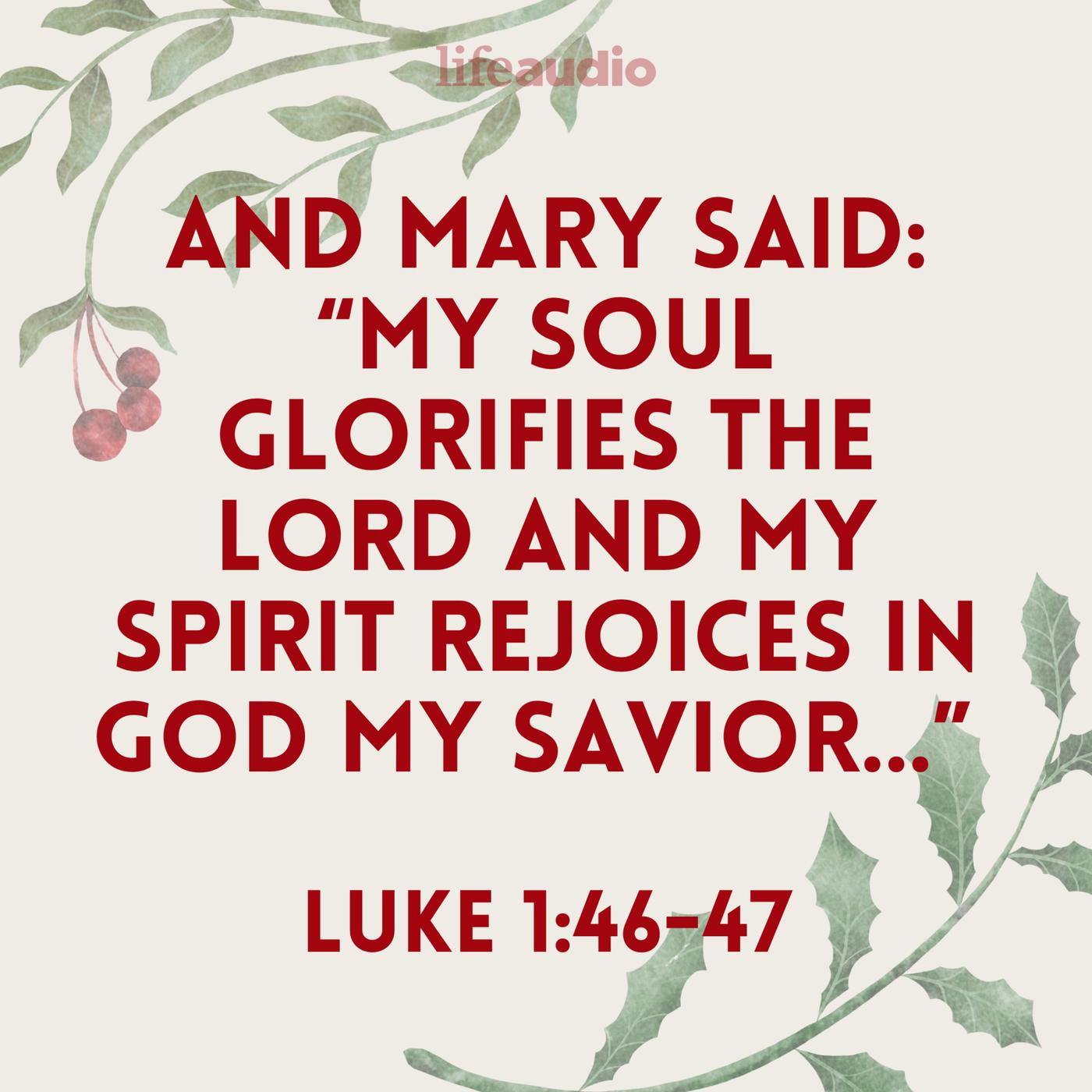 Mary's Song: The Essence of Christmas (Luke 1:46-47) | Listen Notes