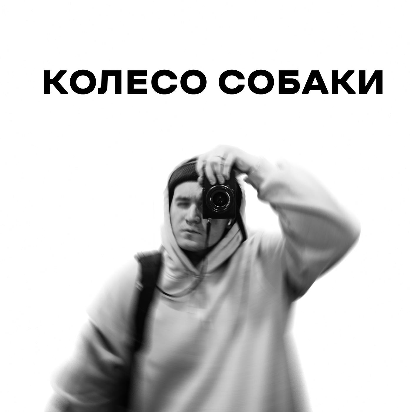Поясни за искусство - Колесо Собаки | Подкаст о фотографии (podcast ...