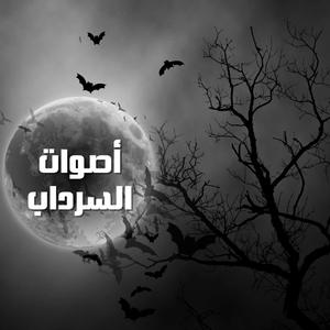 أصوات السرداب 