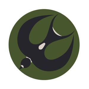  迟早更新 